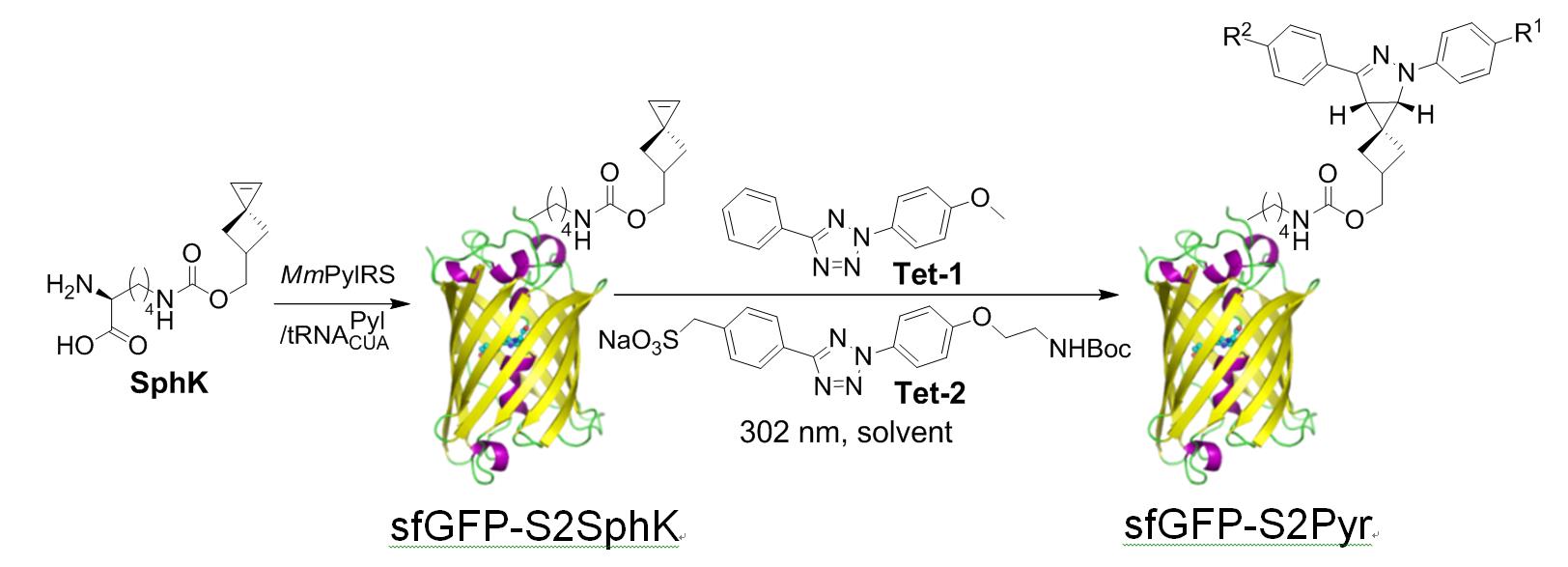 en-2-2.jpg en-2-2.jpg