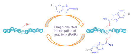 文章1.png 文章1.png