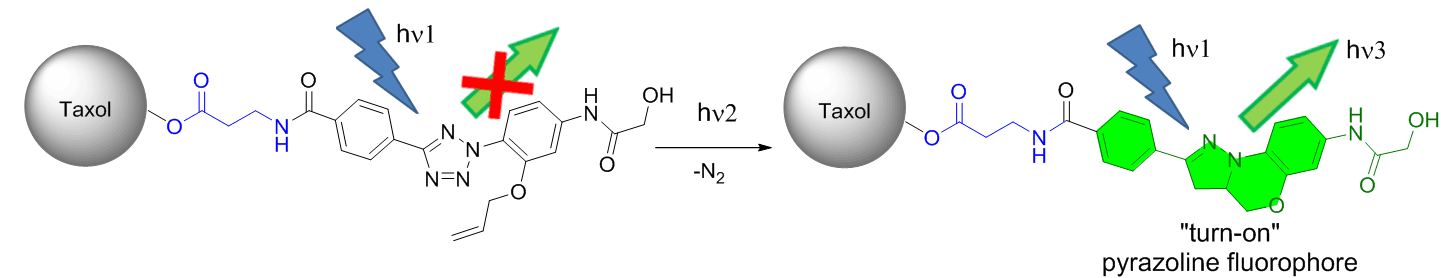 文章5.png 文章5.png